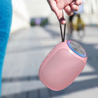 Portable Bluetooth Speaker